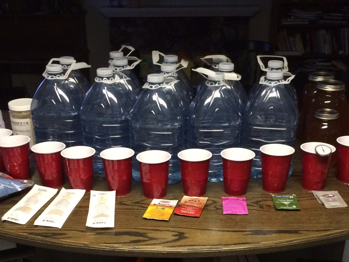 Great Canadian Short Mead Yeast&nbsp;Experiment