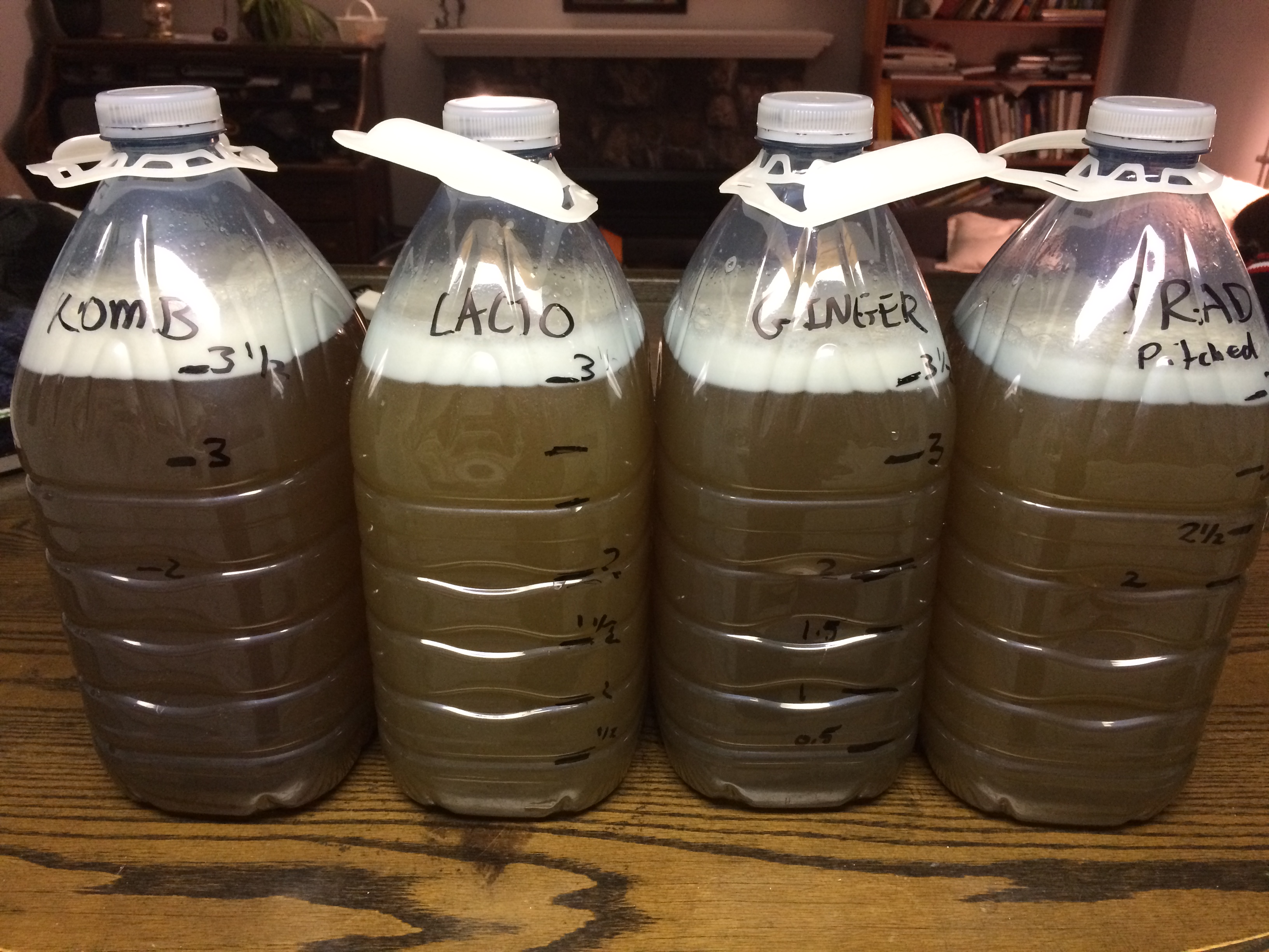 2017-11-06 20.29.10.jpg