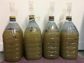 2017-11-20 15.01.11.jpg