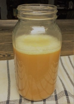 Activated Yeast Starter
